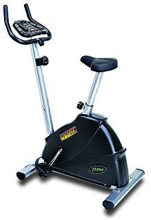 TM-8650 台灣製家用直立式健身車
