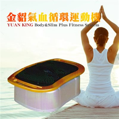 銀貂/金貂氣血循環機 YK-2168 (氣血循環機座)
